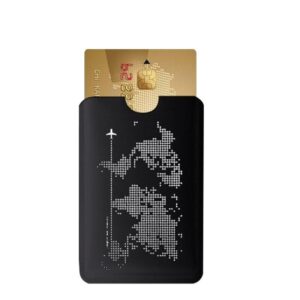 porte-cartes fin avec imprimé carte du monde